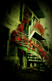 autumn-staircase